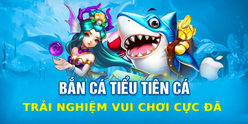 Tổng hợp 3 phòng chơi tại game bắn cá tiểu tiên cá