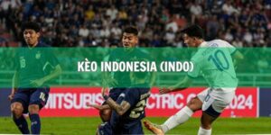 giúp bạn nắm rõ kèo Indonesia (Indo)